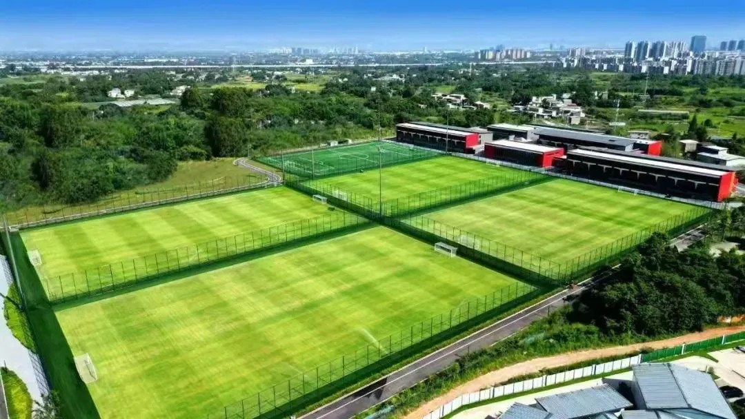 bird view
